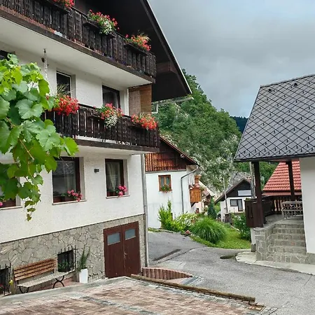 Apartamento Apartma Bela *