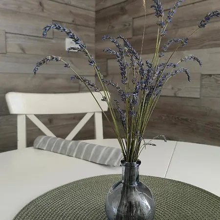 Apartma Bela * Bohinjska Bela