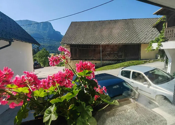 Apartma Bela Apartma *