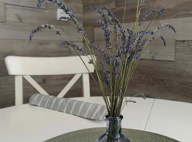 Apartma Bela * Bohinjska Bela